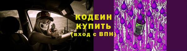 винт Елизово