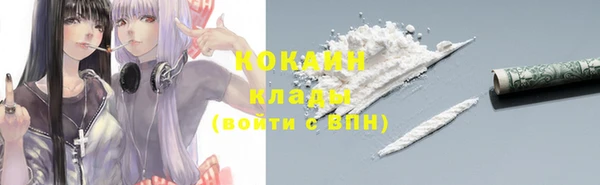 винт Елизово