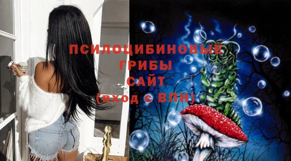 mix Ельня