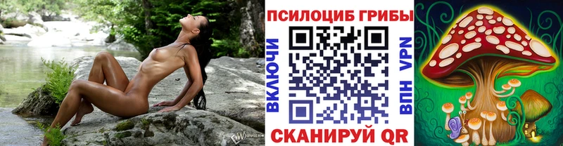 Купить  Сычёвка  Псилоцибиновые грибы мицелий 